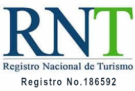 Registro 186592